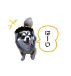 【敬語】毎日使える！クッキーくん♩（個別スタンプ：6）