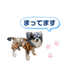 【敬語】毎日使える！クッキーくん♩（個別スタンプ：14）