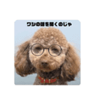 良い犬 三重子さんがコメント（個別スタンプ：3）