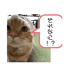 そらの日常①（個別スタンプ：4）