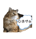 そらの日常①（個別スタンプ：10）
