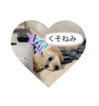 シャンススタンプ（個別スタンプ：3）