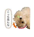 シャンススタンプ（個別スタンプ：7）