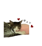 ちくわ！（個別スタンプ：4）