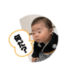 ぜん君のスタンプだよ（個別スタンプ：29）
