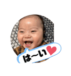 ぜん君のスタンプだよ（個別スタンプ：31）