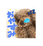 もこスタンプ1（個別スタンプ：8）