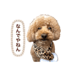 もこスタンプ1（個別スタンプ：24）