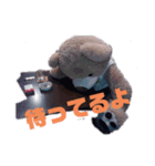 スタジオ ライズ（個別スタンプ：11）