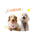 ふわりんブランちゃん＆らぶりートリルくん（個別スタンプ：1）