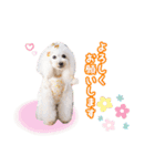 ふわりんブランちゃん＆らぶりートリルくん（個別スタンプ：2）