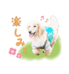 ふわりんブランちゃん＆らぶりートリルくん（個別スタンプ：8）
