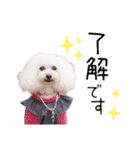 ふわりんブランちゃん＆らぶりートリルくん（個別スタンプ：14）