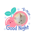 白猫ホイップ（個別スタンプ：4）
