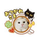 白猫ホイップ（個別スタンプ：12）