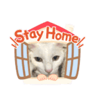白猫ホイップ（個別スタンプ：19）