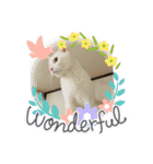 白猫ホイップ（個別スタンプ：21）