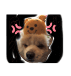 プウ太郎（個別スタンプ：3）