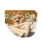 プウ太郎（個別スタンプ：8）