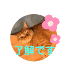 トトコムギ（個別スタンプ：2）