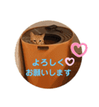 トトコムギ（個別スタンプ：4）
