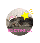 トトコムギ（個別スタンプ：8）