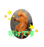 トトコムギ（個別スタンプ：15）