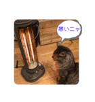 トトコムギ（個別スタンプ：26）