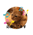 トトコムギ（個別スタンプ：27）