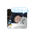 大翔ダイスキ2（個別スタンプ：29）