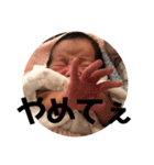 陽一（個別スタンプ：25）