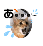 kiki4（個別スタンプ：3）