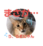 kiki4（個別スタンプ：5）