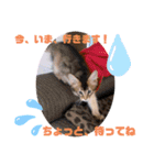 kiki4（個別スタンプ：6）