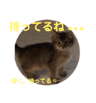 kiki4（個別スタンプ：7）