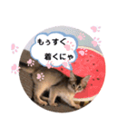 kiki4（個別スタンプ：9）