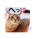 kiki4（個別スタンプ：12）