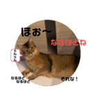 kiki4（個別スタンプ：13）