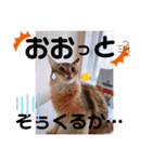 kiki4（個別スタンプ：14）