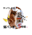 kiki4（個別スタンプ：15）