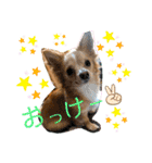ウルルルル（個別スタンプ：1）