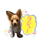 ウルルルル（個別スタンプ：2）
