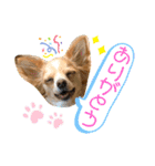 ウルルルル（個別スタンプ：3）