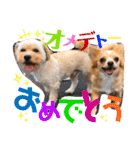 ウルルルル（個別スタンプ：7）