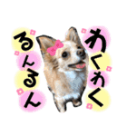 ウルルルル（個別スタンプ：9）