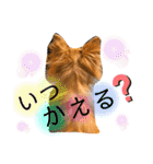 ウルルルル（個別スタンプ：10）