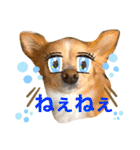ウルルルル（個別スタンプ：12）