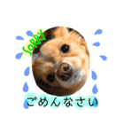 ウルルルル（個別スタンプ：22）
