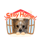 ウルルルル（個別スタンプ：24）