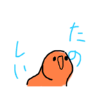 えびくいたいスタンプ（個別スタンプ：28）
